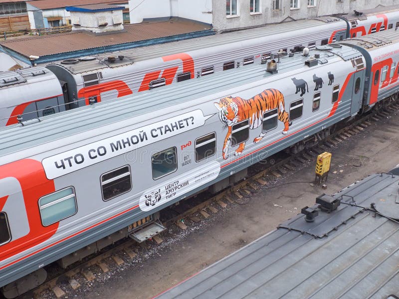 MOSCOW, RUSSIA, MAY.21, 2018: Russian Railways passenger train coaches with Amur tiger on the bodyshell in Rizhskaya depot under maintenance. Save wild animals concept. MOSCOW, RUSSIA, MAY.21, 2018: Russian Railways passenger train coaches with Amur tiger on the bodyshell in Rizhskaya depot under maintenance. Save wild animals concept